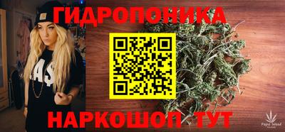 МДПВ Можга