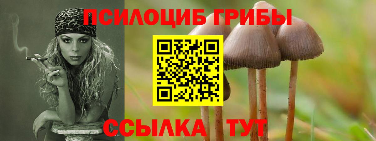 Псилоцибиновые грибы Magic Shrooms  Псилоцибиновые грибы мухоморы  Гусиноозёрск  наркота  Вход с VPN 